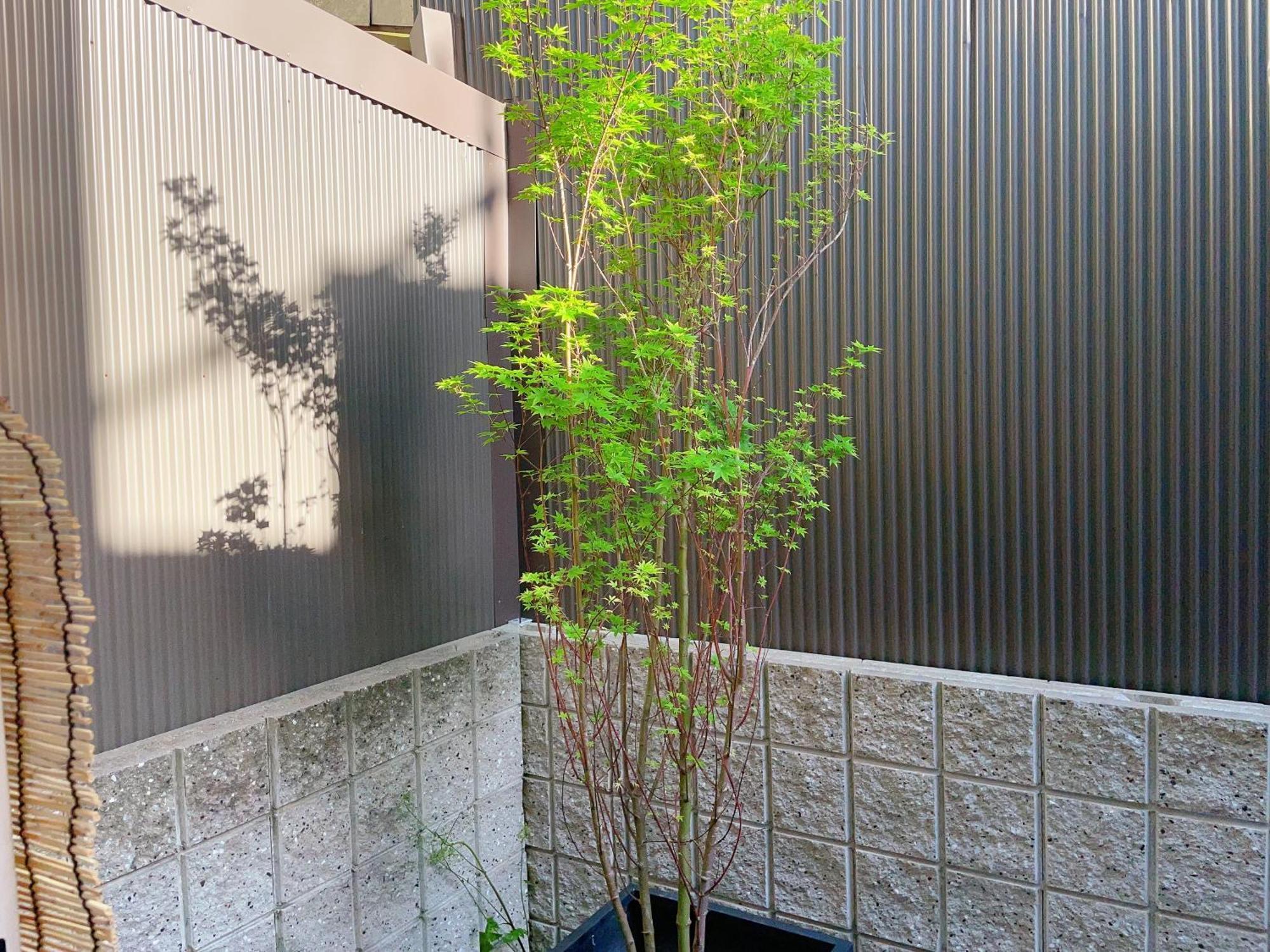 Suikakan Heianjingumae 酔花間 Kyōto Exterior foto
